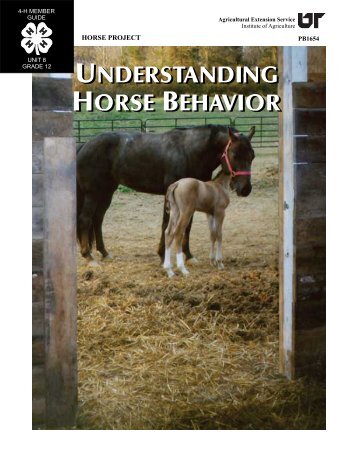 understanding horse behavior understanding horse ... - UT Extension