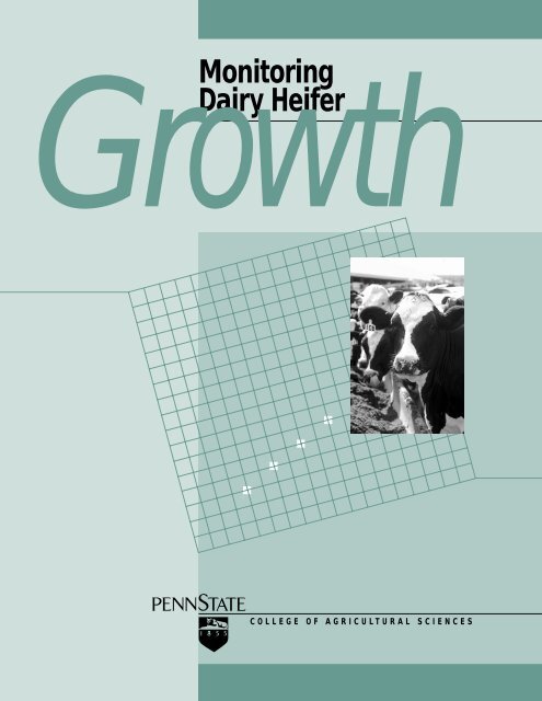 Dairy Heifer Growth Chart