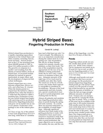 Hybrid Striped Bass: - SRAC Fact Sheets