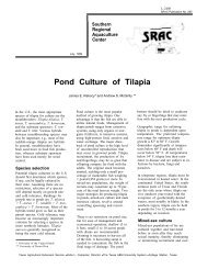 Pond Culture of Tilapia