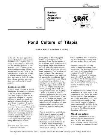 Pond Culture of Tilapia