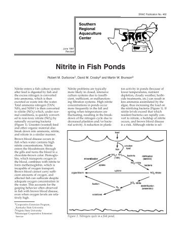 Nitrite in Fish Ponds