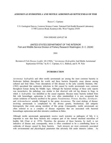 Aeromonas Hydrophila And Motile Aeromonad ... - eXtension