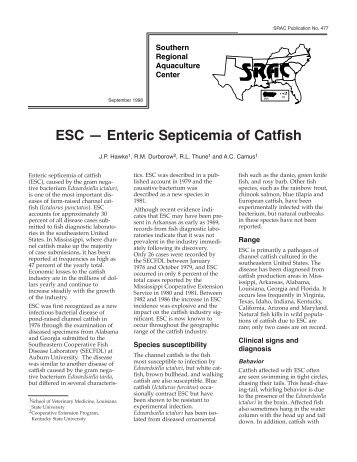 SRAC 0477: ESC - Enteric Septicemia of Catfish