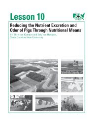 LESSON 10 Reducing Pig Waste and Odor Through - eXtension