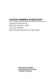 Cat Fish Farming - Aquaculture at Kentucky State University