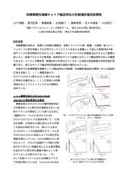 有機導電性薄膜キャリア輸送特性の非破壊評価技術開発 - 理化学研究所