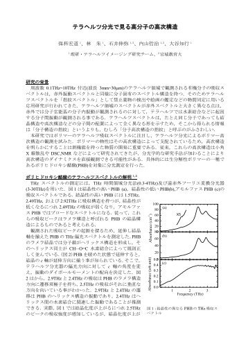 テラヘルツ分光で見る高分子の高次構造