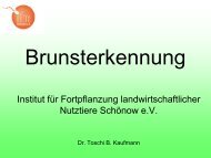 Brunstbeobachtung und –erkennung als Schlüssel eines effizienten ...