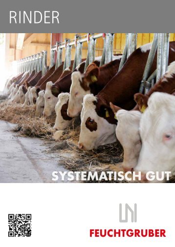 systematisch gut - Rinder-Stalltechnik