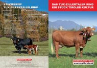 Folder laden! - Rinderzucht Tirol