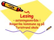 Leseplan - Ringerike kommune