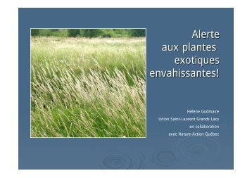 Alerte aux plantes exotiques envahissantes! - INBO