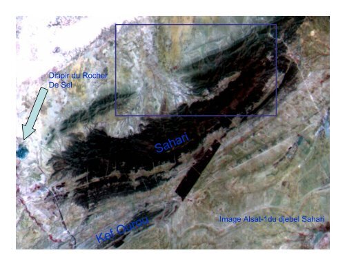 Apport de l'imagerie Radar dans la prospection ... - INBO