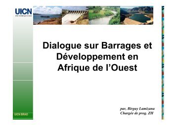 Dialogue sur Barrages et DÃ©veloppement en Afrique de l'Ouest - INBO
