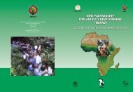 new partnership for africa's development (nepad) - UNEP