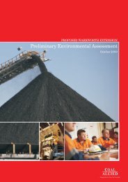 Preliminary Environmental Assessment - Rio Tinto Coal Australia