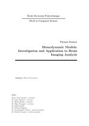 Hemodynamic Models: Investigation and Application ... - Risc - CNRS