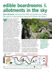edible boardrooms & allotments in the sky - RISC