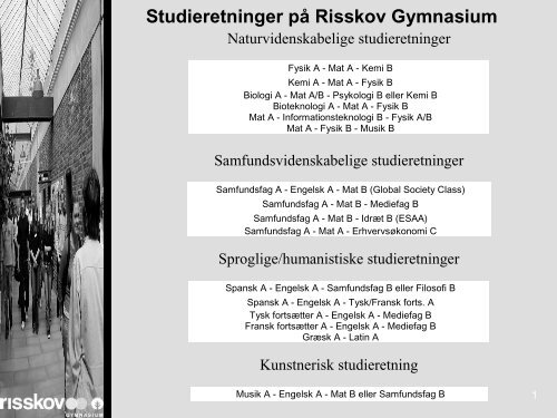 Studieretninger pÃ¥ Risskov Gymnasium