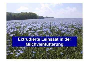 Was bewirkt die extrudierte Leinsaat bei Milchkühen?