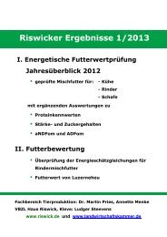 Riswicker Ergebnisse 2013