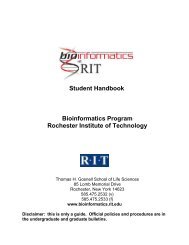 MS Thesis - Rochester Institute of Technology