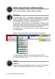 Sohle: Dynamik der Sohlenstruktur