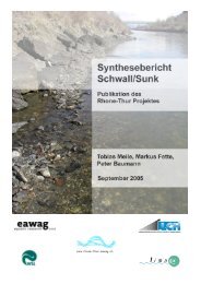 Synthesebericht Schwall/Sunk - Rhone-Thur Projekt - Eawag