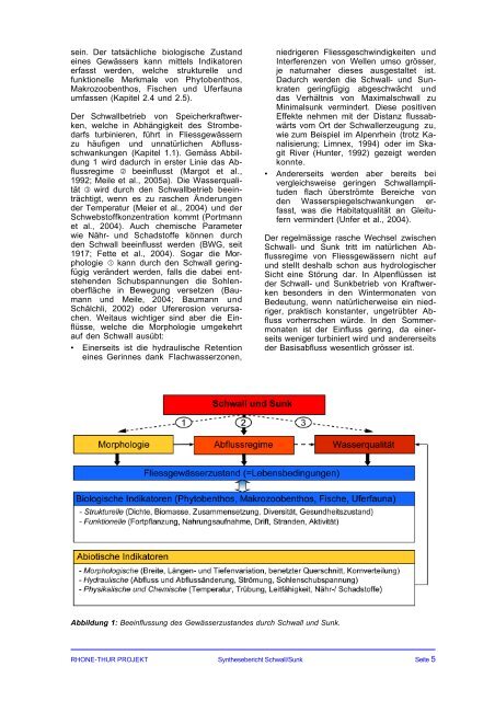 Synthesebericht Schwall/Sunk - Rhone-Thur Projekt - Eawag