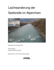 Laichwanderung der Seeforelle im Alpenrhein - Rhone-Thur Projekt ...