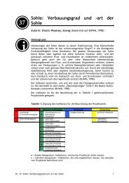 Sohle: Verbauungsgrad und -art der Sohle