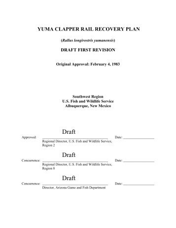 Yuma Clapper Rail Recovery Plan - Living Rivers Home Page