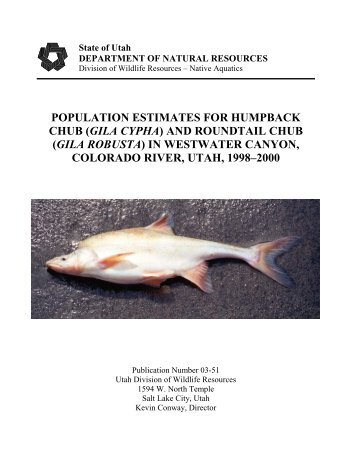 population estimates for humpback chub - Upper Colorado River ...