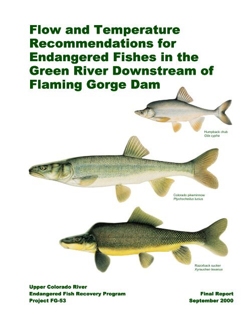 Flow and Temperature Recommendations for Endangered Fishes in ...