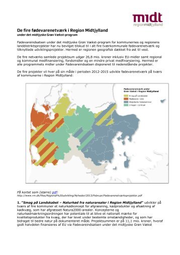 netværk - Region Midtjylland