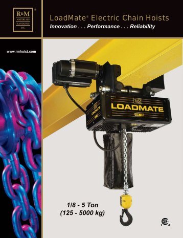 LoadMateÂ® hoists - R&M Materials Handling equipment