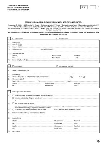 Formular E 101 - Eu-Info.deutschland