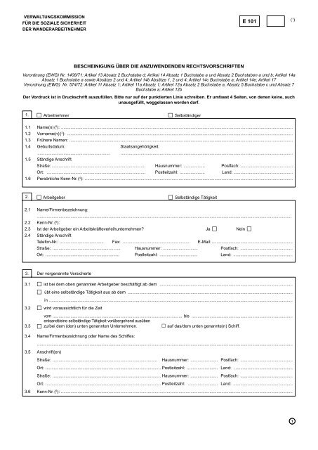 E 101 formular