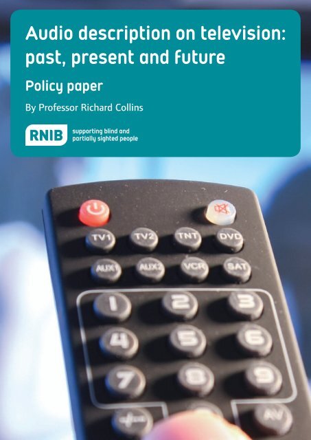 Audio description on television: past, present and future. RNIB policy ...