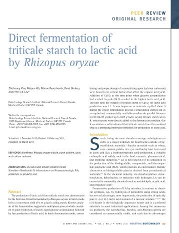 Rhizopus oryzae - DASGIP