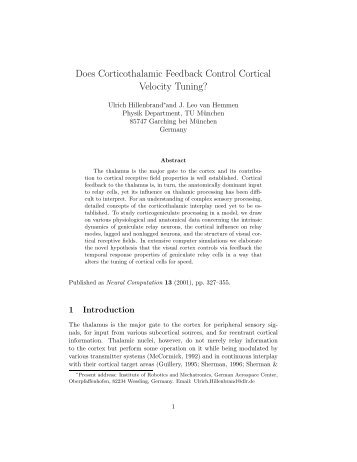 Does Corticothalamic Feedback Control Cortical Velocity ... - Cogprints