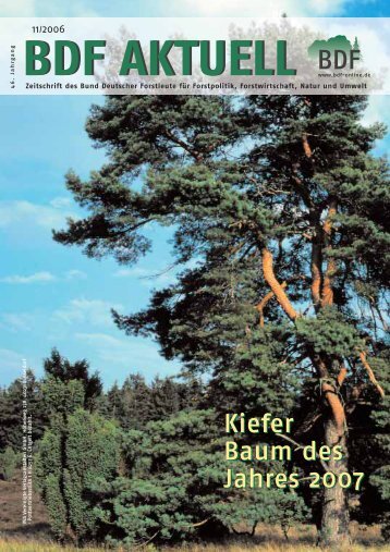 Ausgabe 11/2006 - BDF