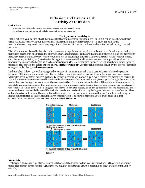 Dialysis Virtual Lab, Biology, Worksheet / Diffusion ...