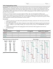 Dna Fingerprinting Activity