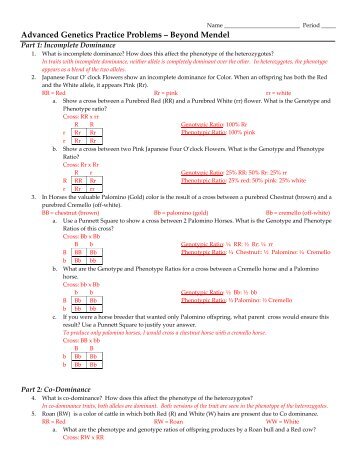 More Genetics Problems â Beyond Mendel