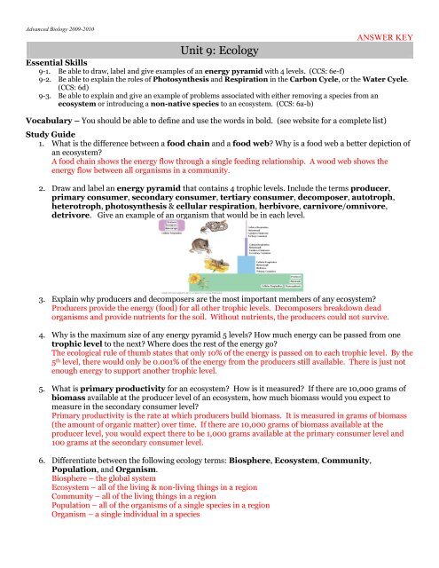 Energy Flow In Ecosystems Worksheet