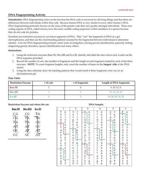 DNA Fingerprinting Activity