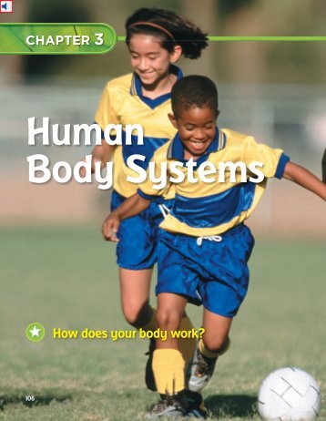 Chapter 3: Human Body Systems