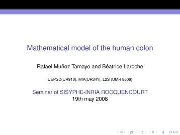 Mathematical model of the human colon - Inria